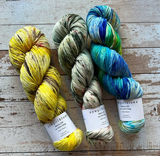 Cowgirlblues - Merino DK variegated