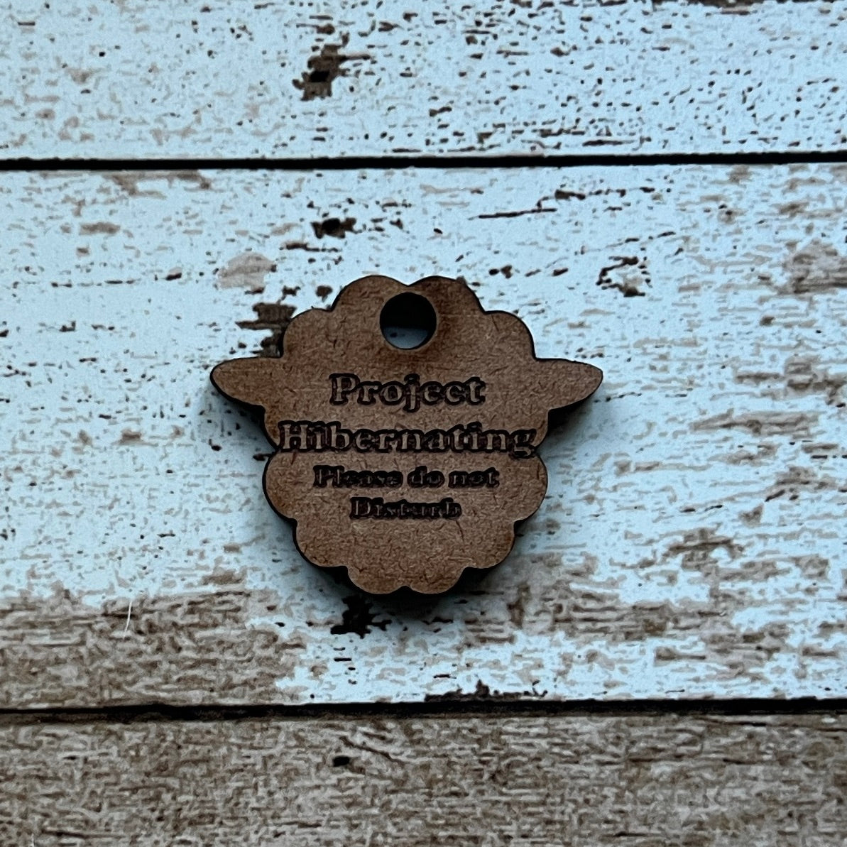 Project Hibernating Tags