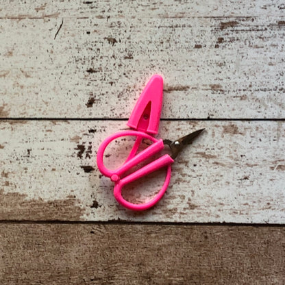 Mini Scissors with Cover