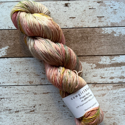 Cowgirlblues - Proper Sock Variegated Skeins